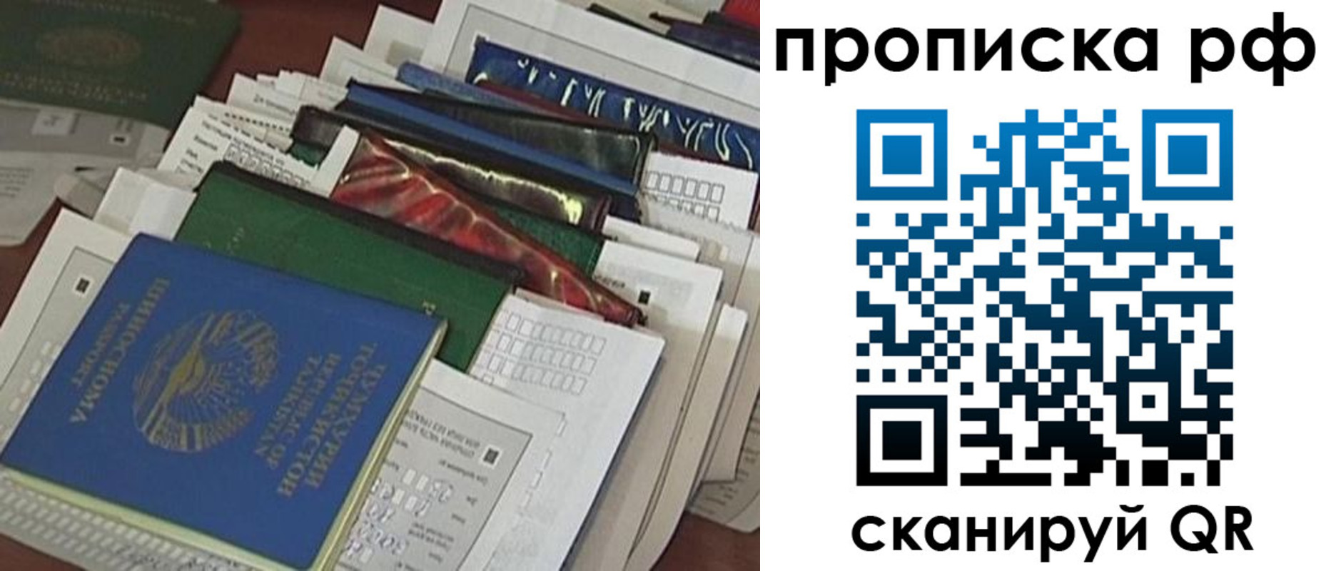 прописка в Волгодонске